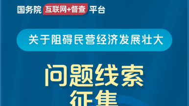 好鸡巴操屄96av国务院“互联网+督查”平台公开征集阻碍民营经济发展壮大问题线索